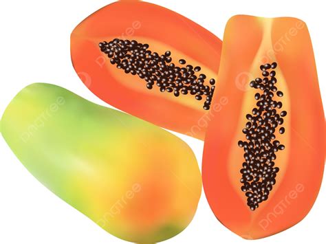 Papaya clipart Vectors & Illustrations for Free Download .